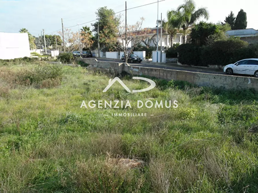 Immagine 5 di Terreno in vendita  in via Arno a Racale