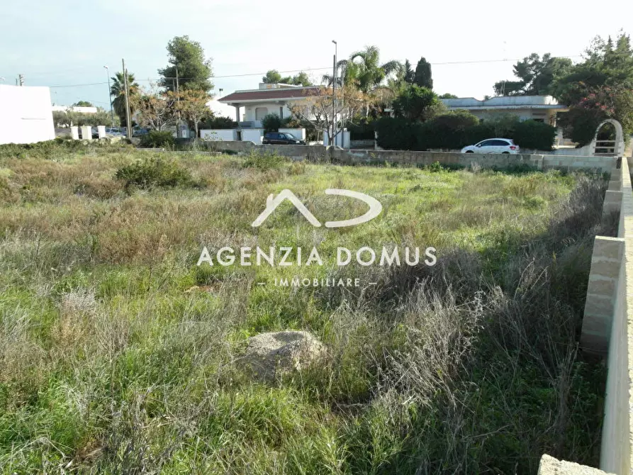 Immagine 6 di Terreno in vendita  in via Arno a Racale