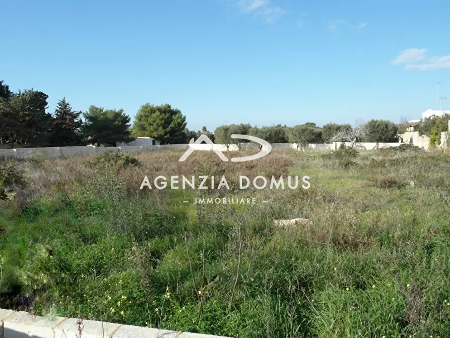 Immagine 7 di Terreno in vendita  in via Arno a Racale