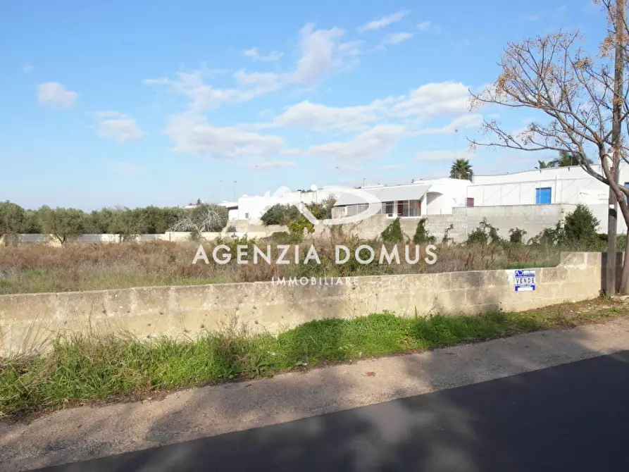 Immagine 8 di Terreno in vendita  in via Arno a Racale