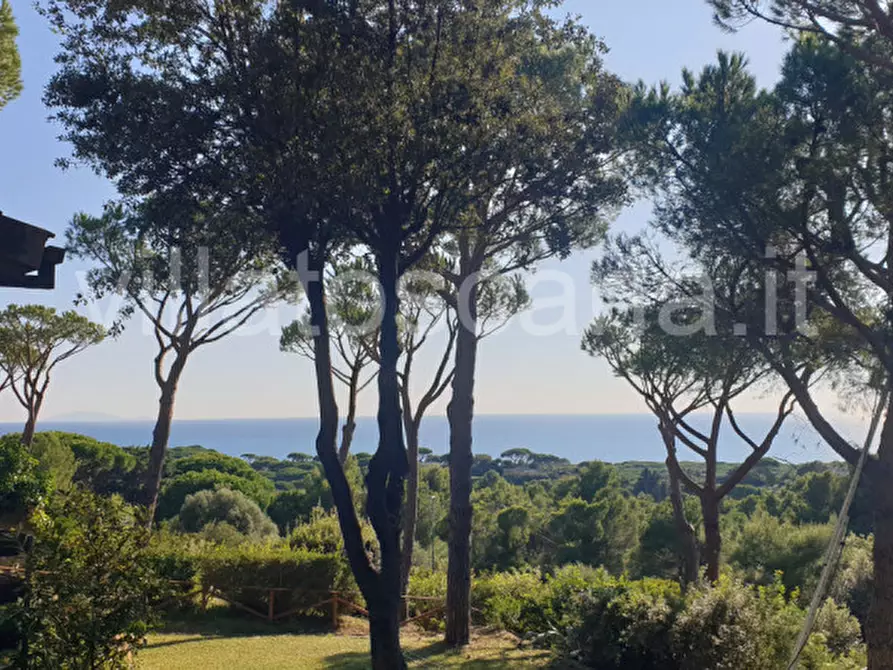Immagine 1 di Casa trifamiliare in vendita  a Castiglione Della Pescaia