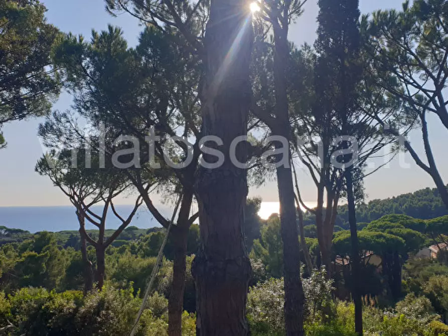 Immagine 2 di Casa trifamiliare in vendita  a Castiglione Della Pescaia