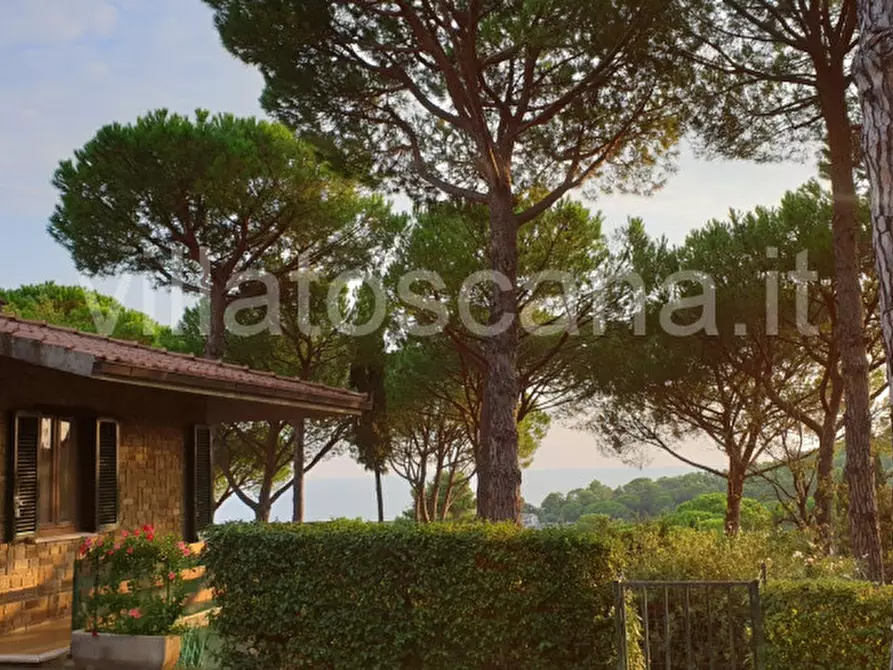 Immagine 4 di Casa trifamiliare in vendita  a Castiglione Della Pescaia