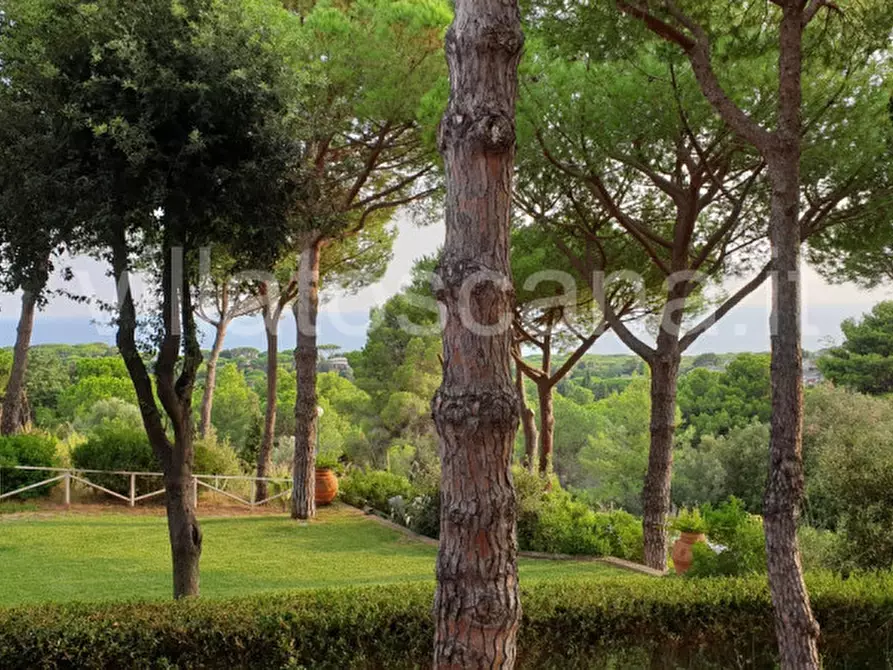 Immagine 8 di Casa trifamiliare in vendita  a Castiglione Della Pescaia
