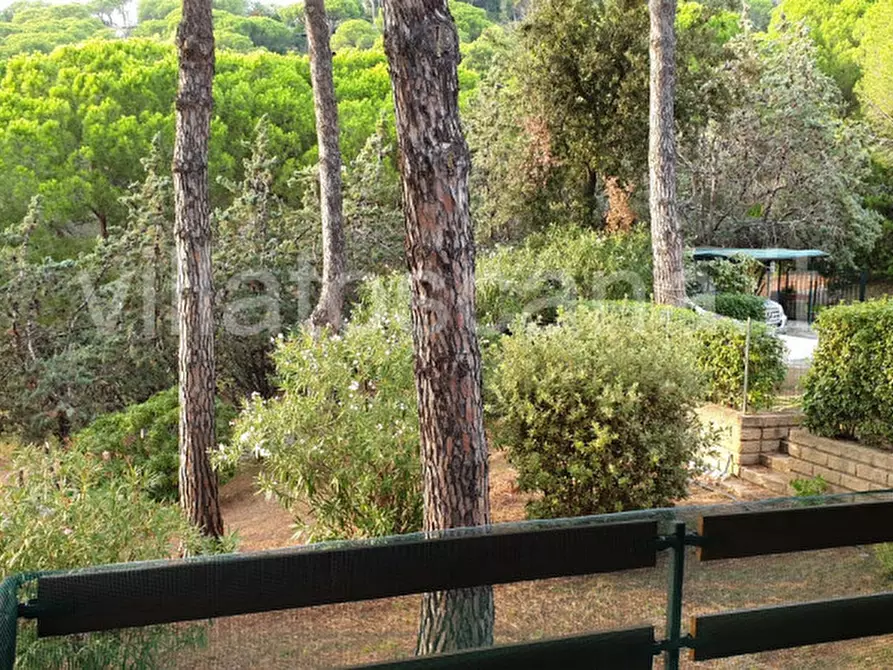 Immagine 9 di Casa trifamiliare in vendita  a Castiglione Della Pescaia