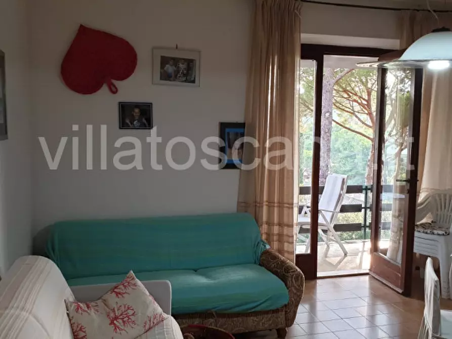 Immagine 11 di Casa trifamiliare in vendita  a Castiglione Della Pescaia