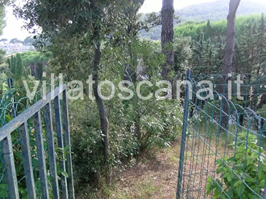 Immagine 20 di Casa trifamiliare in vendita  a Castiglione Della Pescaia