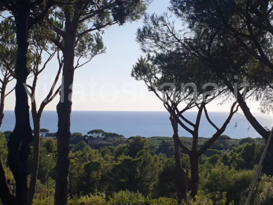 Immagine 21 di Casa trifamiliare in vendita  a Castiglione Della Pescaia