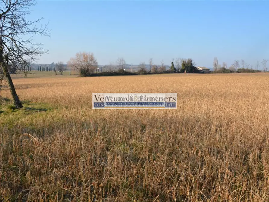 Immagine 5 di Rustico / casale in vendita  in via colli storici a Desenzano Del Garda