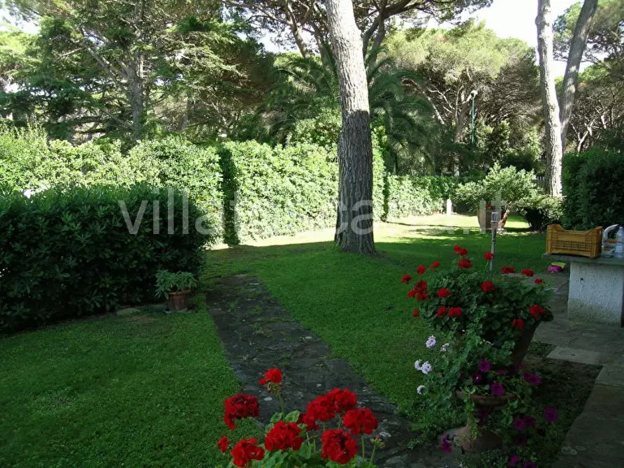 Immagine 6 di Casa trifamiliare in vendita  in Strada delle Rocchette a Castiglione Della Pescaia