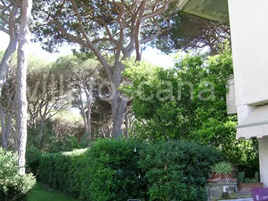 Immagine 27 di Casa trifamiliare in vendita  in Strada delle Rocchette a Castiglione Della Pescaia