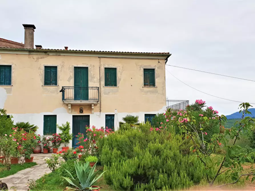 Immagine 1 di Casa indipendente in vendita  in Via Roma a Baone