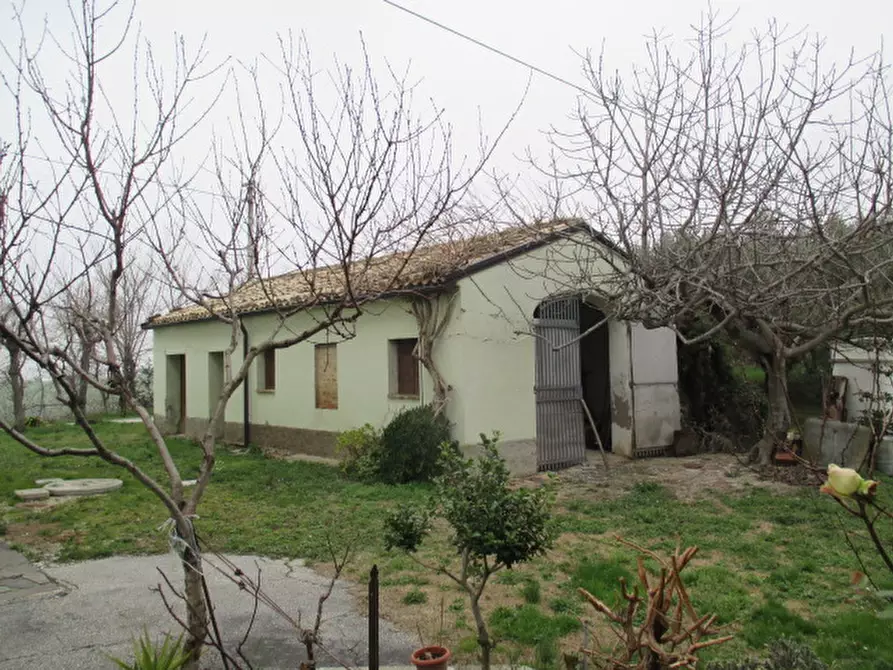 Immagine 2 di Rustico / casale in vendita  a Ostra