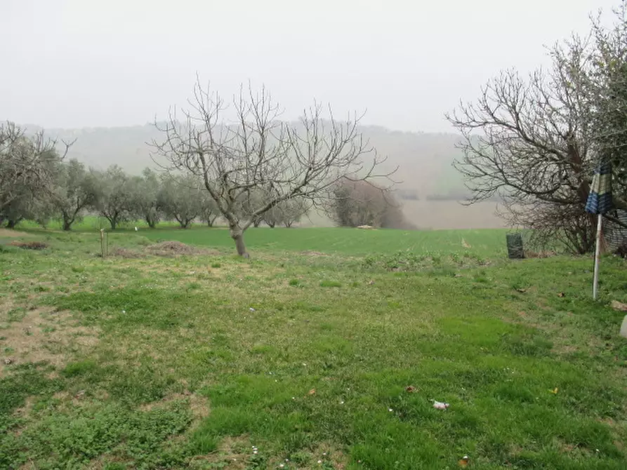 Immagine 7 di Rustico / casale in vendita  a Ostra