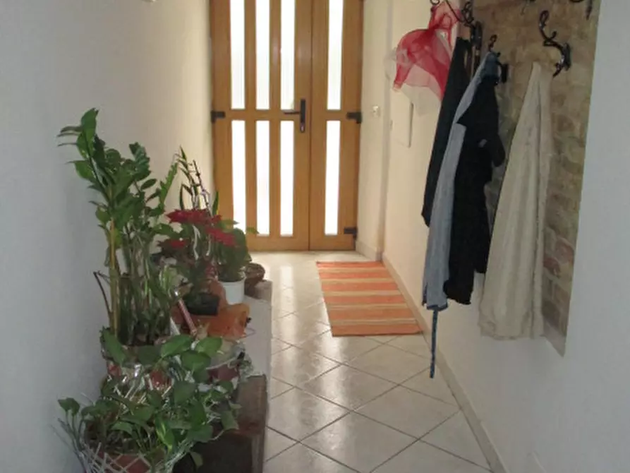 Immagine 15 di Rustico / casale in vendita  a Ostra