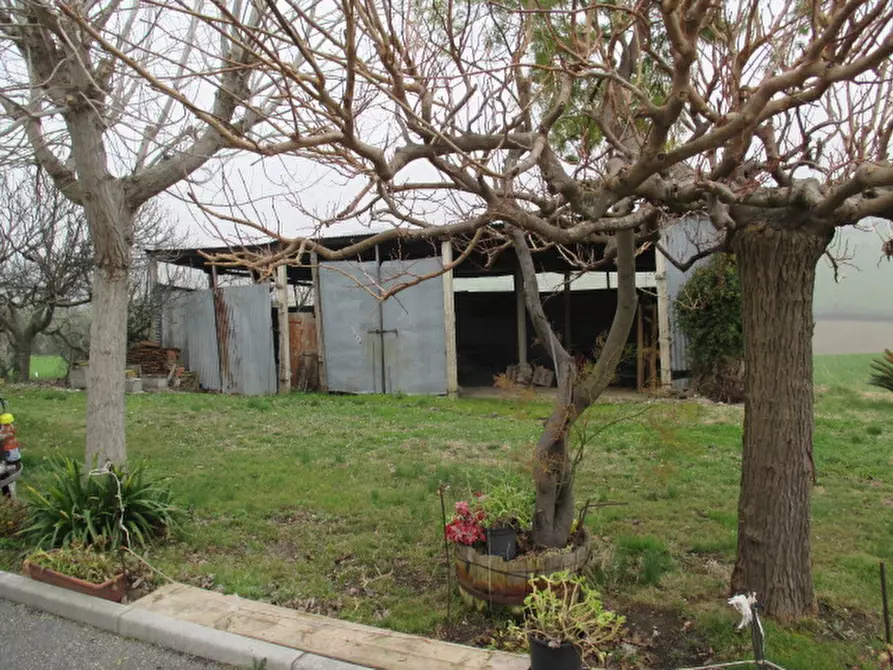 Immagine 46 di Rustico / casale in vendita  a Ostra