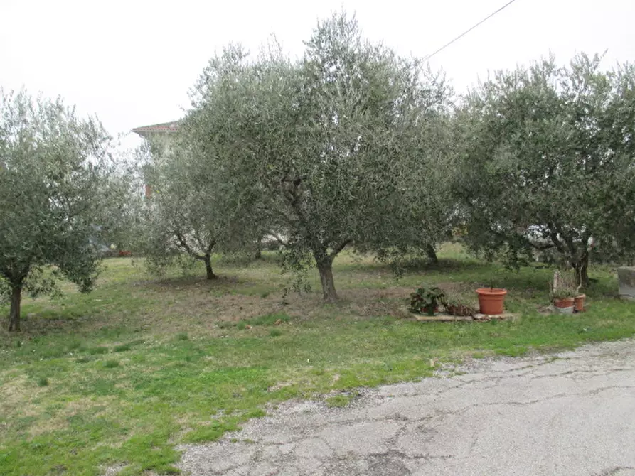 Immagine 47 di Rustico / casale in vendita  a Ostra