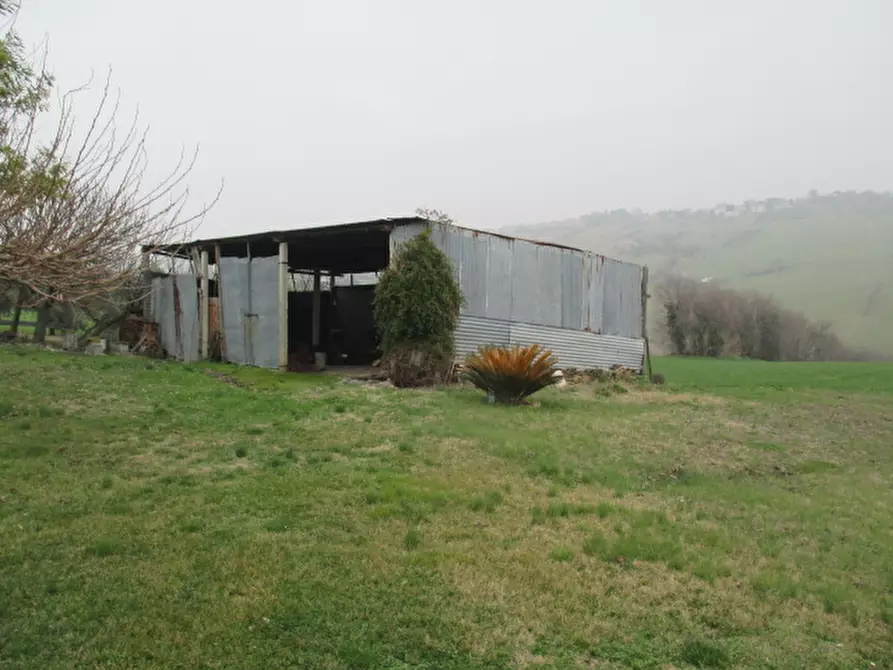 Immagine 50 di Rustico / casale in vendita  a Ostra