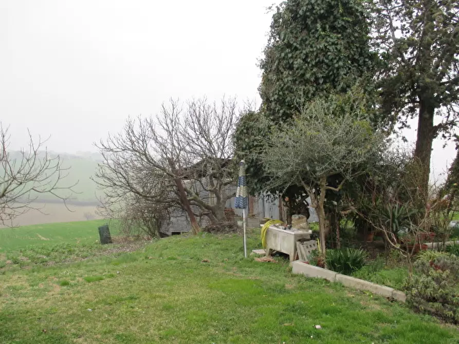 Immagine 52 di Rustico / casale in vendita  a Ostra