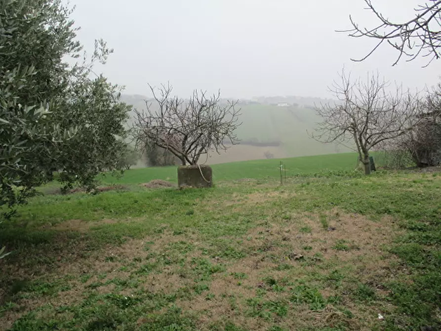 Immagine 56 di Rustico / casale in vendita  a Ostra