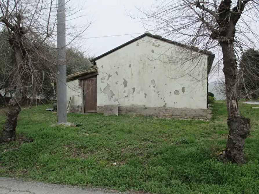 Immagine 59 di Rustico / casale in vendita  a Ostra