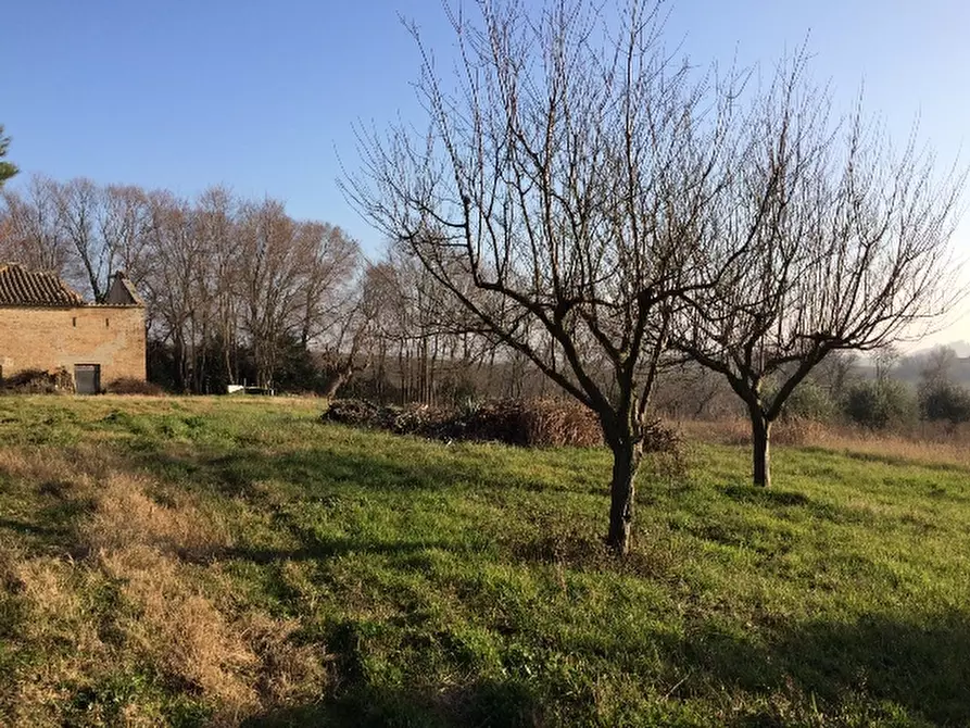 Immagine 2 di Rustico / casale in vendita  a Montemarciano
