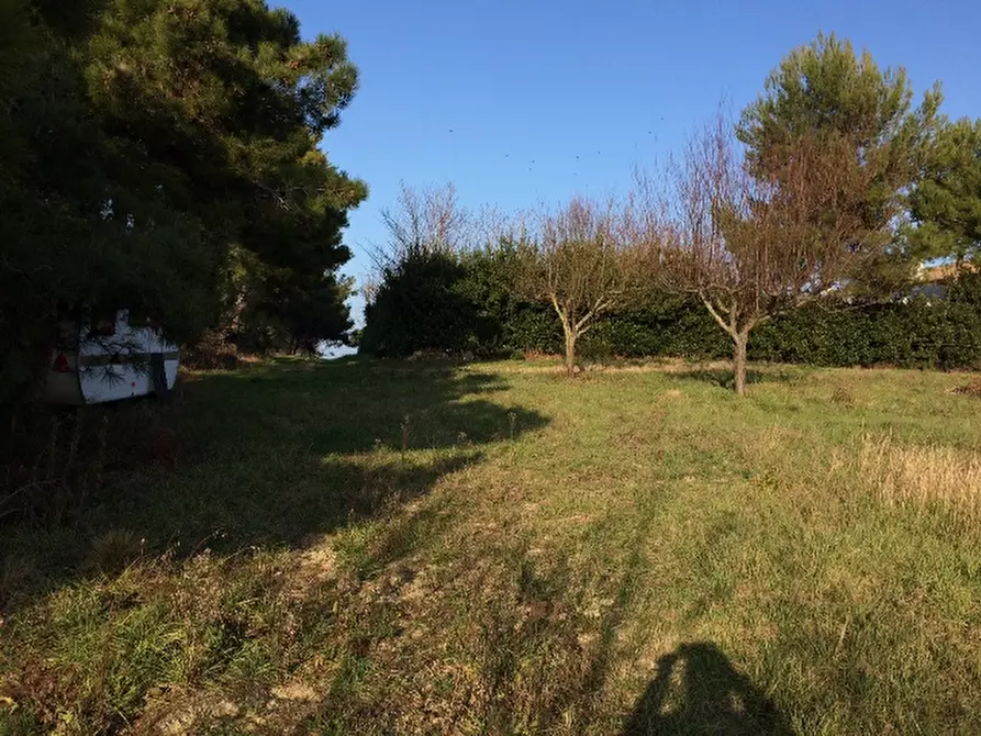 Immagine 3 di Rustico / casale in vendita  a Montemarciano