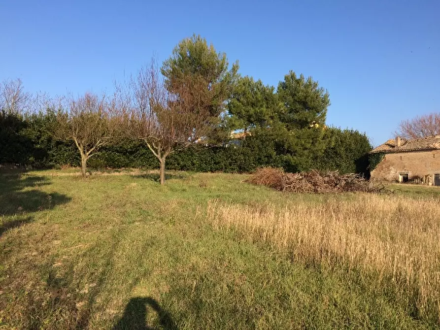 Immagine 4 di Rustico / casale in vendita  a Montemarciano