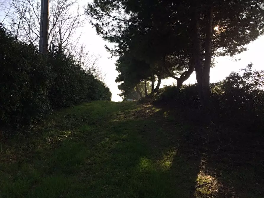 Immagine 5 di Rustico / casale in vendita  a Montemarciano