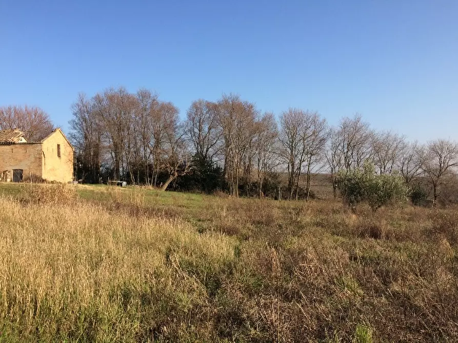 Immagine 6 di Rustico / casale in vendita  a Montemarciano