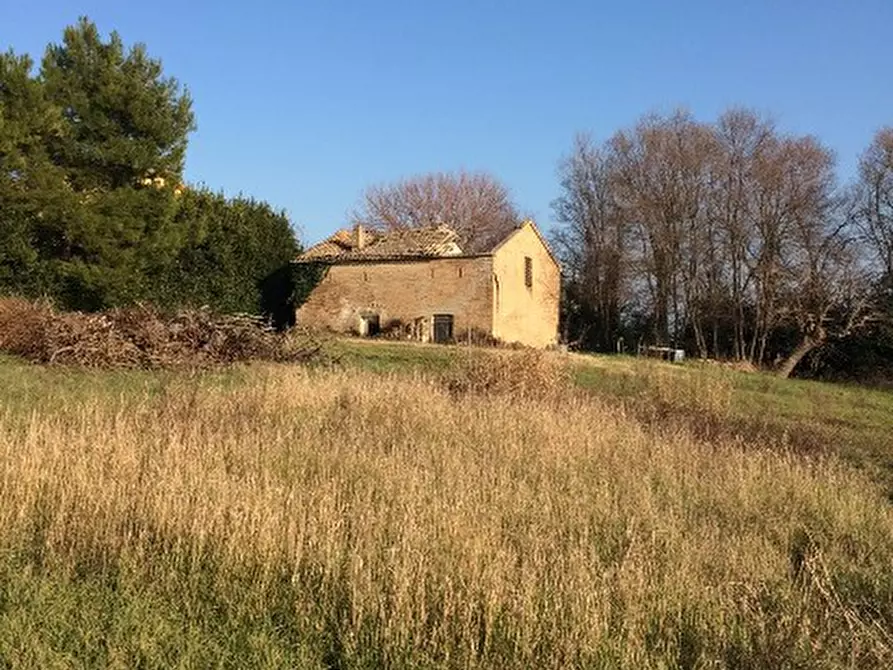 Immagine 7 di Rustico / casale in vendita  a Montemarciano