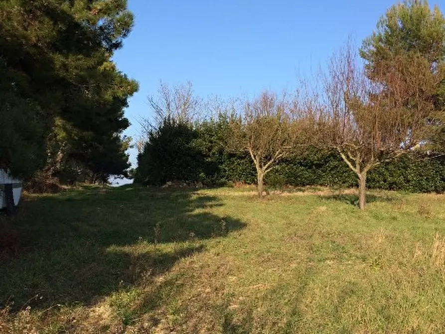 Immagine 8 di Rustico / casale in vendita  a Montemarciano