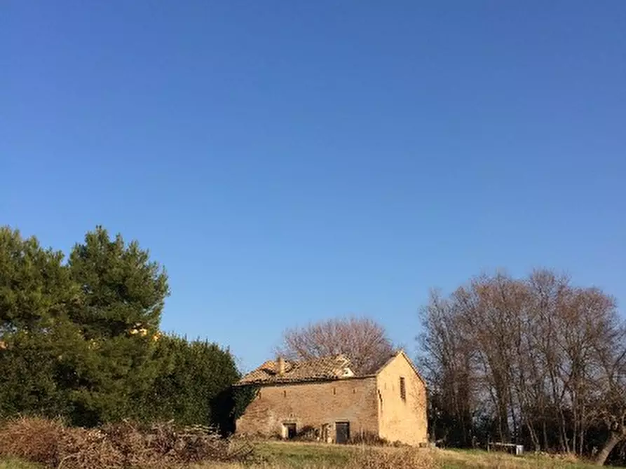 Immagine 9 di Rustico / casale in vendita  a Montemarciano