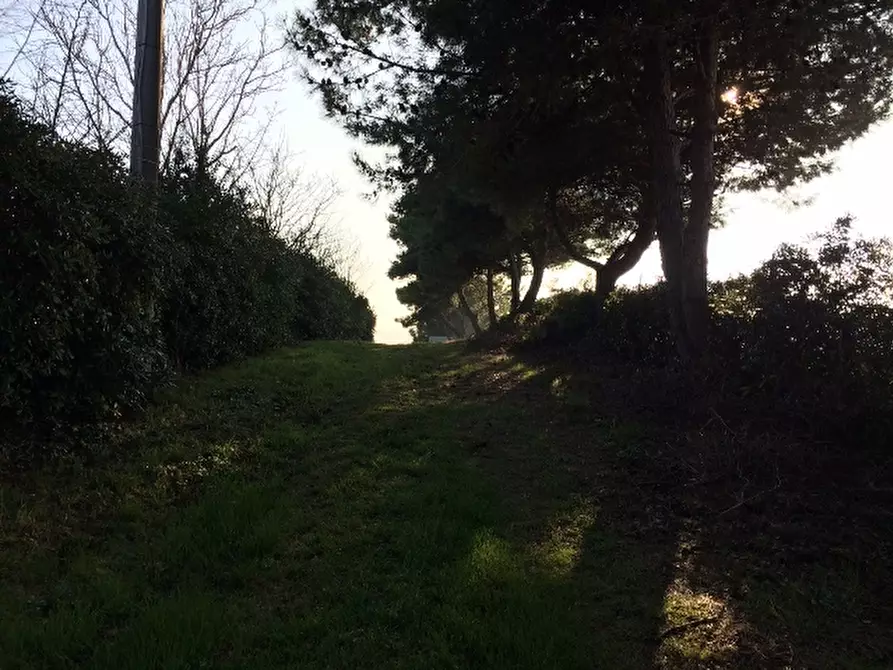 Immagine 10 di Rustico / casale in vendita  a Montemarciano