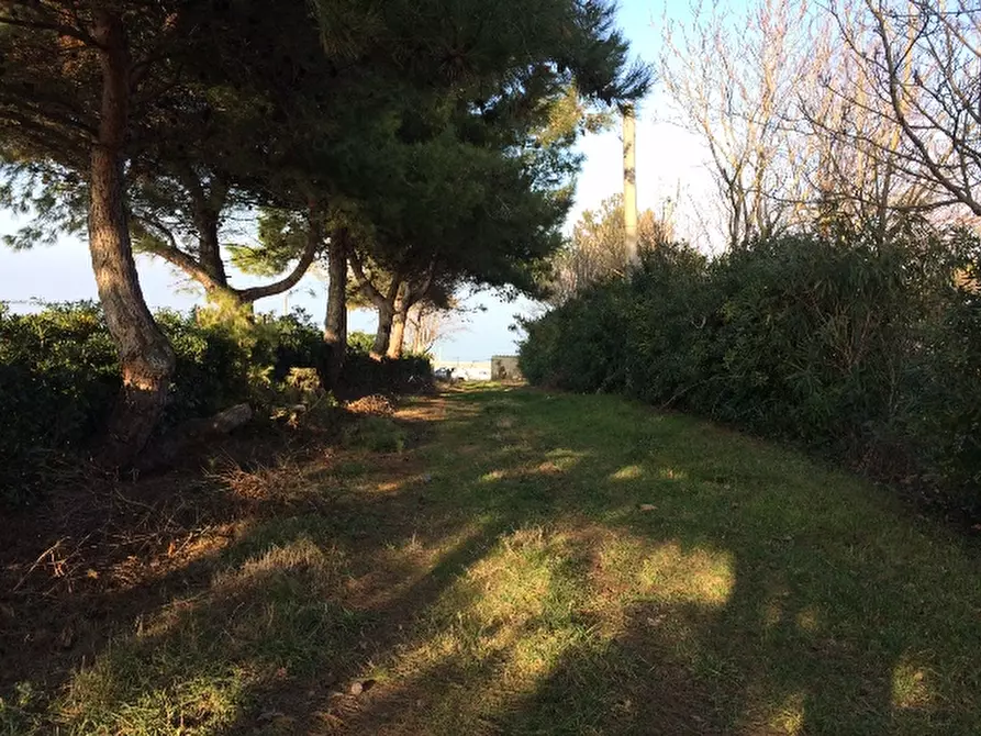 Immagine 11 di Rustico / casale in vendita  a Montemarciano