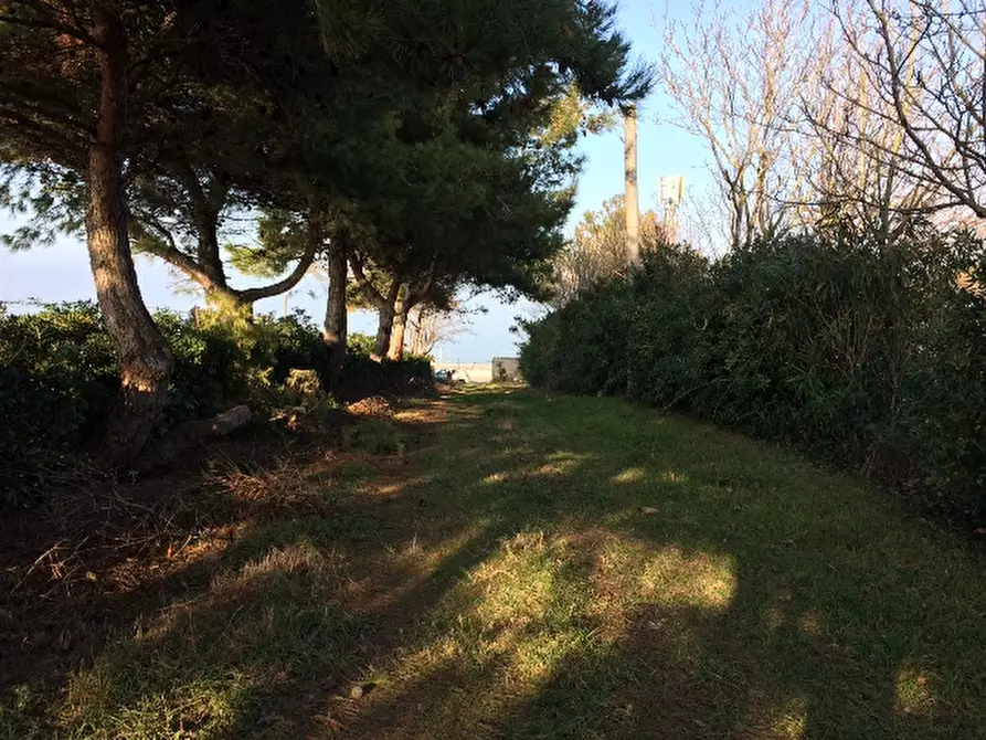 Immagine 12 di Rustico / casale in vendita  a Montemarciano