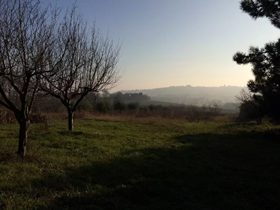 Immagine 14 di Rustico / casale in vendita  a Montemarciano