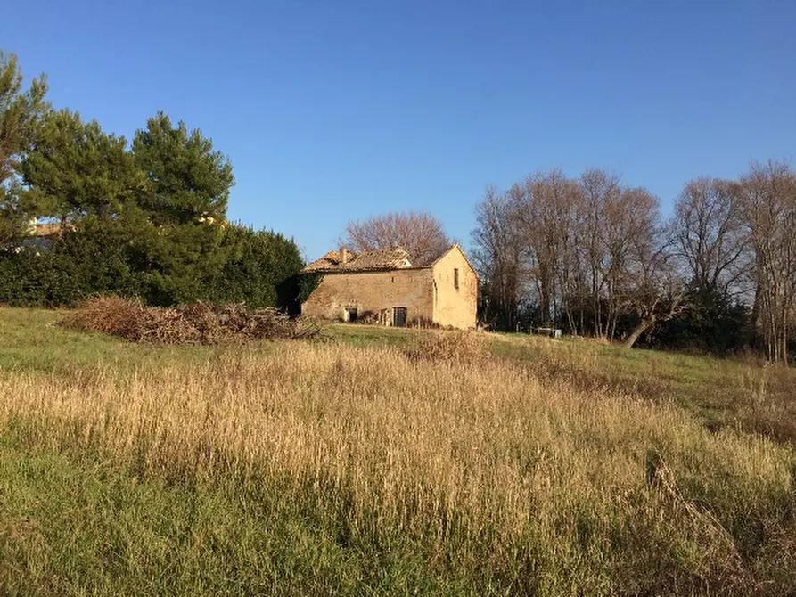 Immagine 16 di Rustico / casale in vendita  a Montemarciano