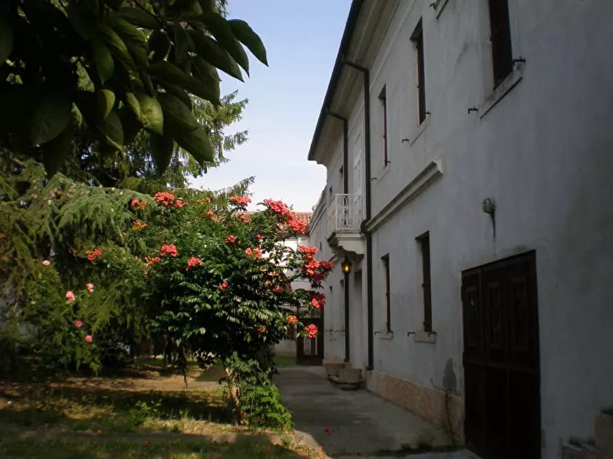 Immagine 24 di Villa in vendita  a Castelbaldo