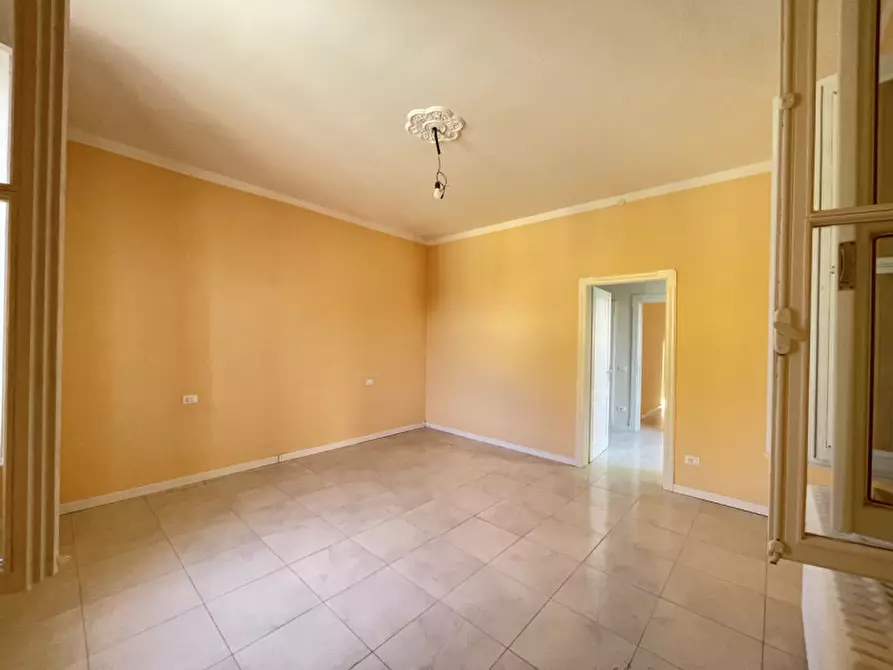 Immagine 18 di Villa in affitto  a Suzzara