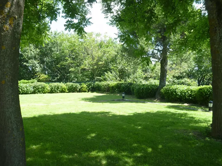 Immagine 6 di Rustico / casale in vendita  in Strada San Nicola a Pesaro