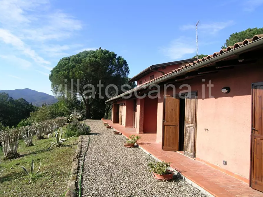 Immagine 1 di Casa indipendente in vendita  a Castiglione Della Pescaia