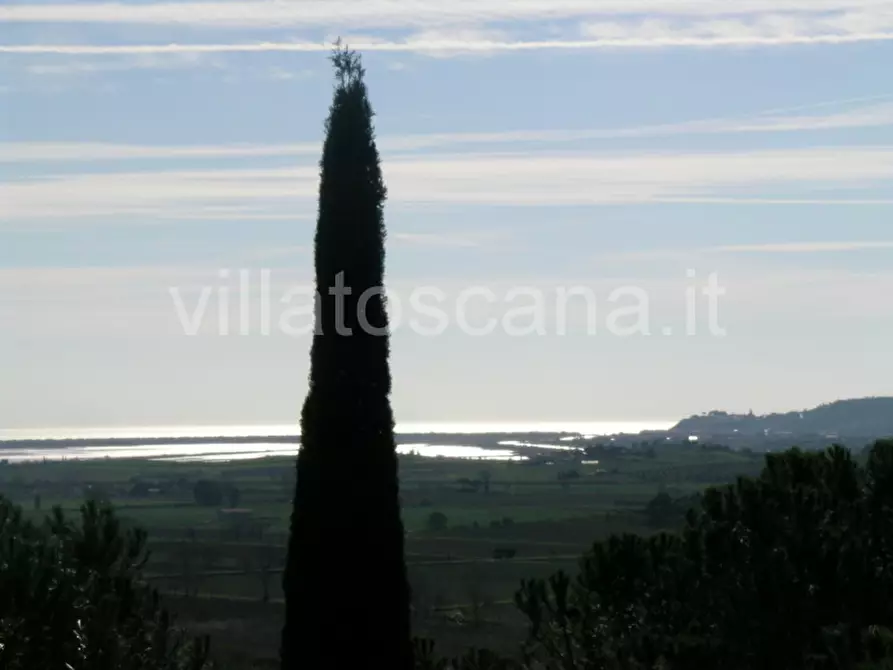 Immagine 3 di Casa indipendente in vendita  a Castiglione Della Pescaia