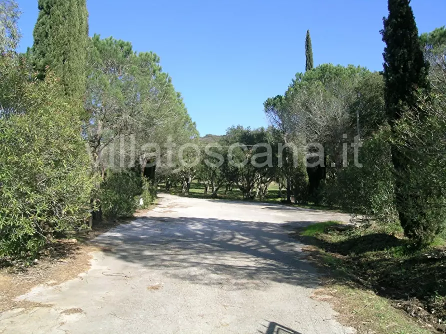 Immagine 4 di Casa indipendente in vendita  a Castiglione Della Pescaia