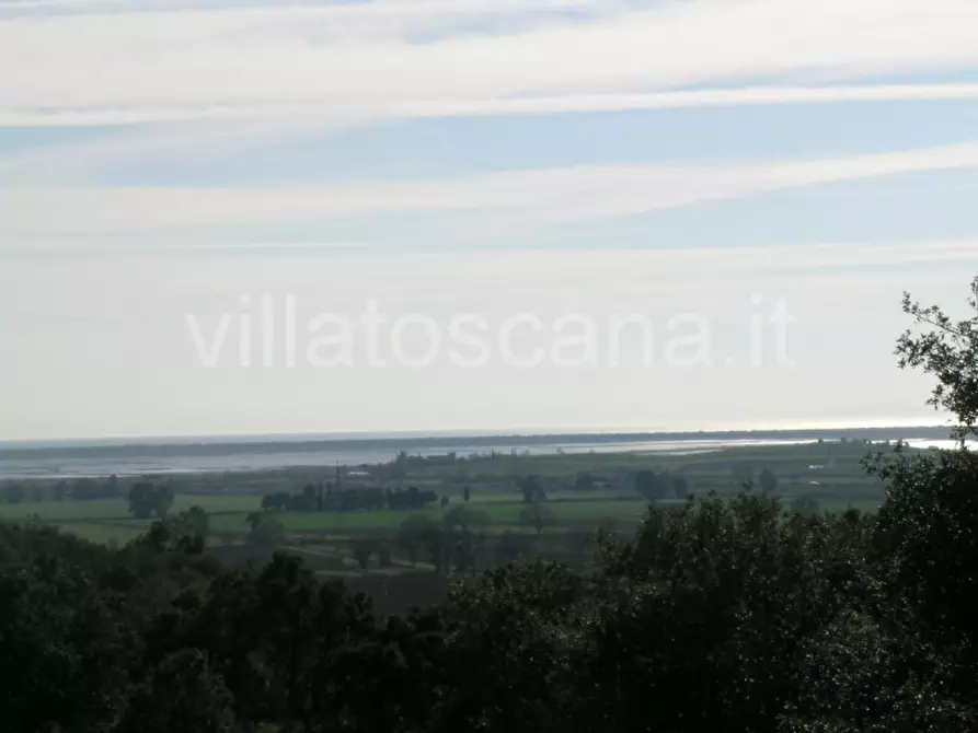 Immagine 6 di Casa indipendente in vendita  a Castiglione Della Pescaia