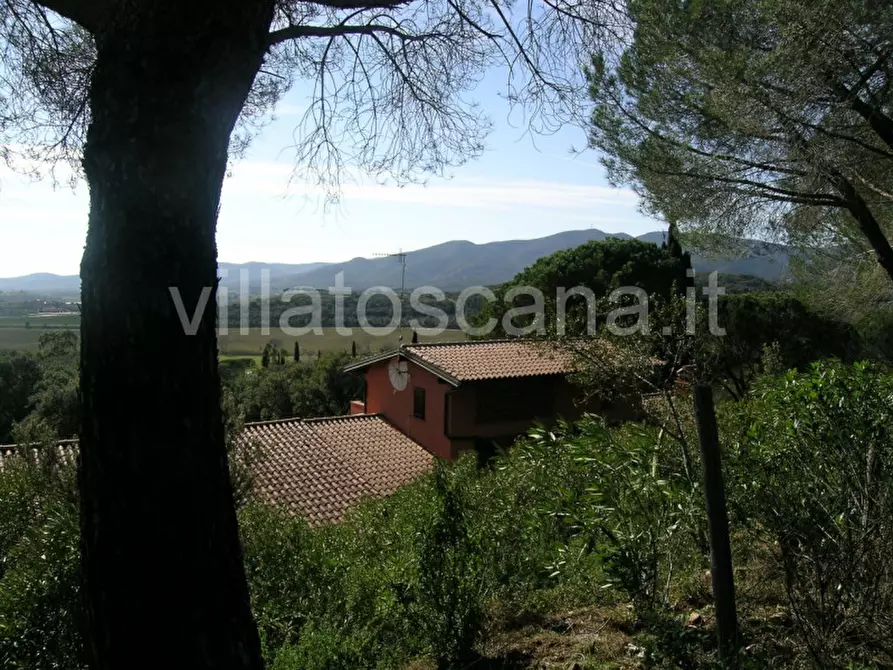 Immagine 8 di Casa indipendente in vendita  a Castiglione Della Pescaia