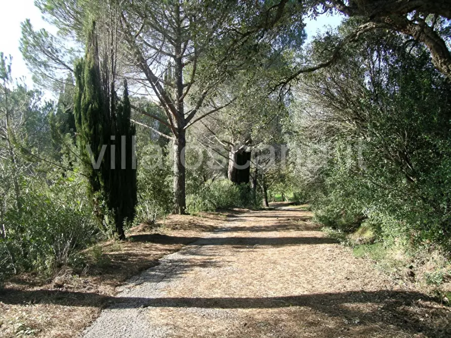 Immagine 9 di Casa indipendente in vendita  a Castiglione Della Pescaia