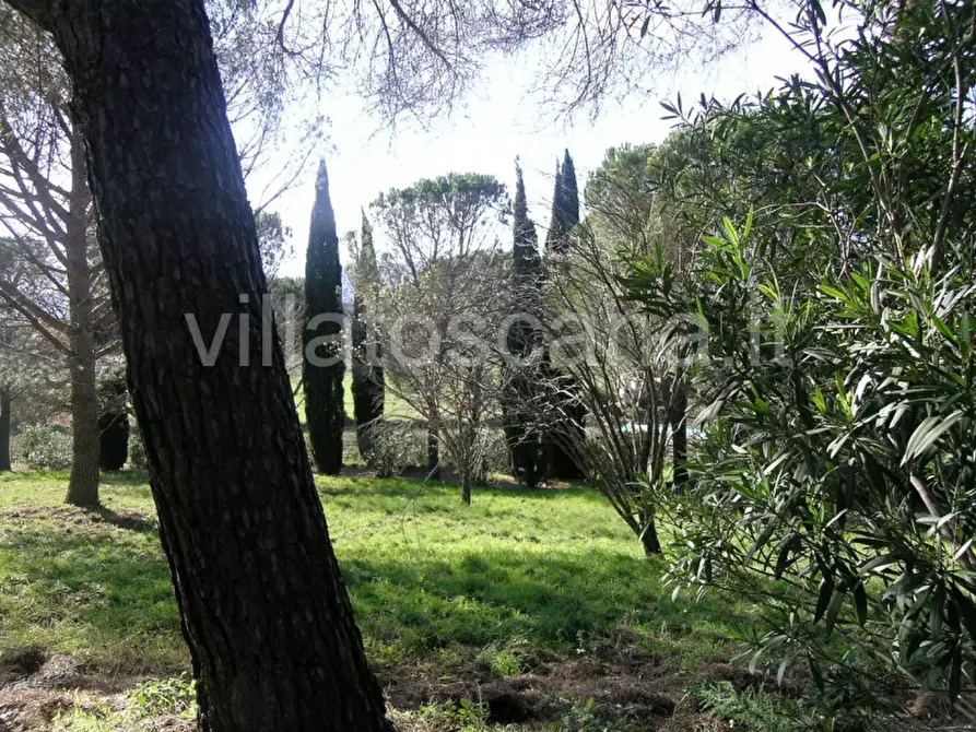 Immagine 10 di Casa indipendente in vendita  a Castiglione Della Pescaia