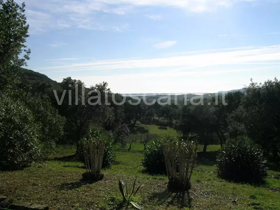 Immagine 11 di Casa indipendente in vendita  a Castiglione Della Pescaia