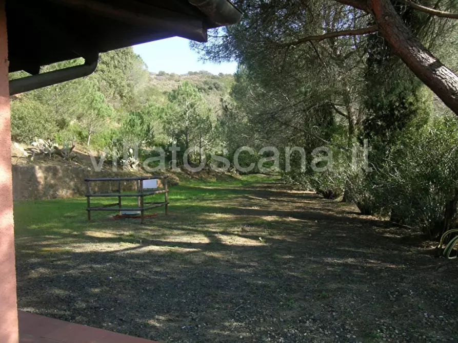 Immagine 12 di Casa indipendente in vendita  a Castiglione Della Pescaia